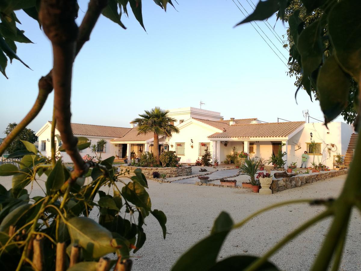 Hotel Casa Fina - Adults Recommended Conil De La Frontera Exterior photo